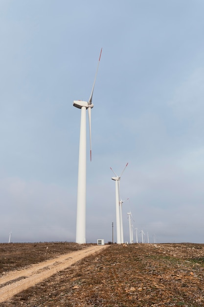 Vista lateral de muitas turbinas eólicas no campo, gerando energia