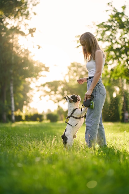 Vista lateral de uma jovem treinando bulldog francês no parque da cidade. Animal de estimação de raça pura em pé nas patas traseiras, cheirando guloseimas da mão do dono da cadela, pôr do sol de verão no fundo. Conceito de treinamento de animais.