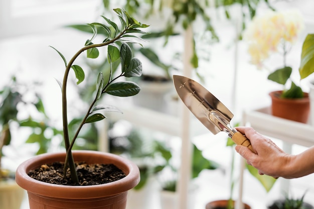 Vista lateral de uma mulher cultivando uma planta e segurando uma espátula
