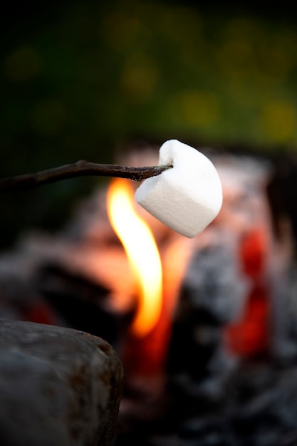 Foto grátis vista lateral delicioso marshmallow na vara