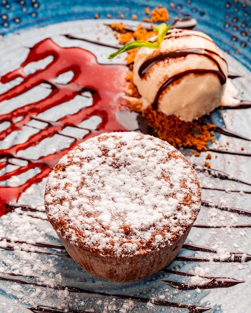 Foto grátis vista lateral do bolo de chocolate com sorvete, decorado com açúcar em pó em um prato