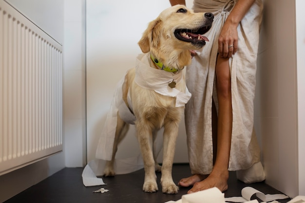 Vista lateral mulher e cachorro fazendo bagunça