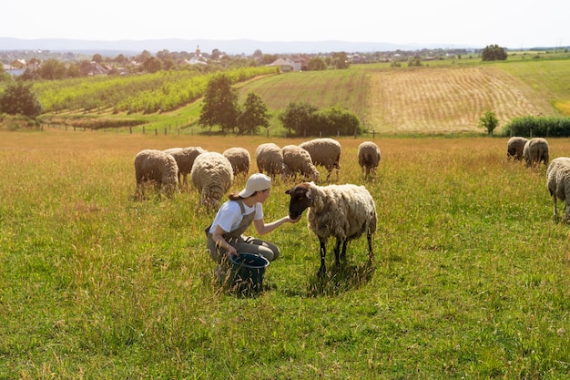 Vista lateral mulher pastor alimentando ovelhas