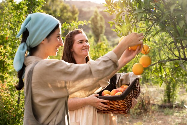 Vista lateral mulheres colhendo frutas
