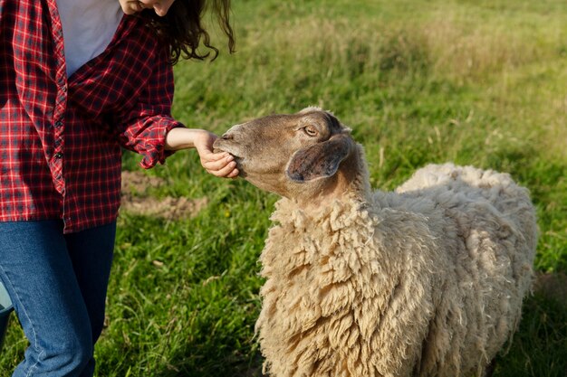 Vista lateral sorridente mulher acariciando ovelhas