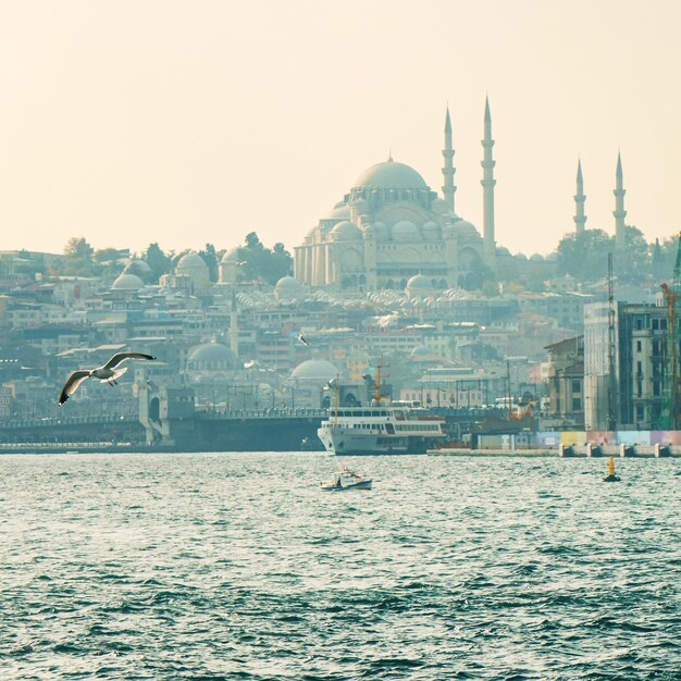 Vista panorâmica da bela cidade do mar de Istambul e gaivota voadora Turquia