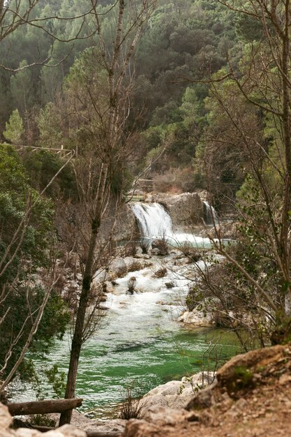 Vista panorâmica da natureza