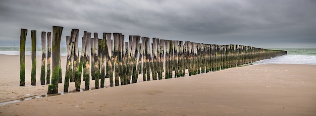 Vista panorâmica de pranchas de madeira verticais na areia de um cais de madeira inacabado na praia