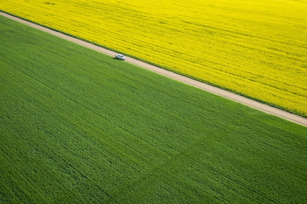 Vista panorâmica de um grande campo com uma estrada estreita no meio durante um dia ensolarado