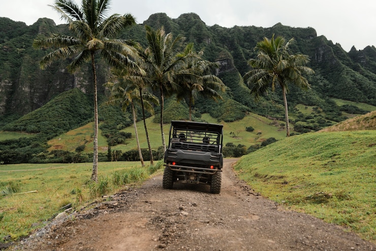 Foto grátis vista panorâmica do carro jipe no havaí