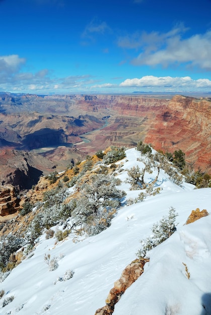 Vista panorâmica do grand canyon no inverno com neve