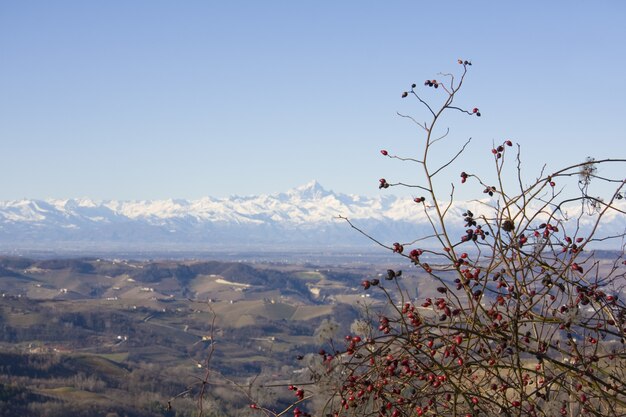 Vista para as colinas marrons com uma cordilheira coberta de neve ao fundo