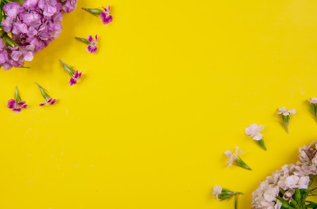 Vista superior cópia espaço flores brancas e rosa em fundo amarelo