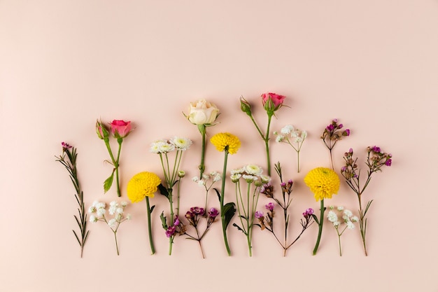 Foto grátis vista superior da coleção de flores na mesa