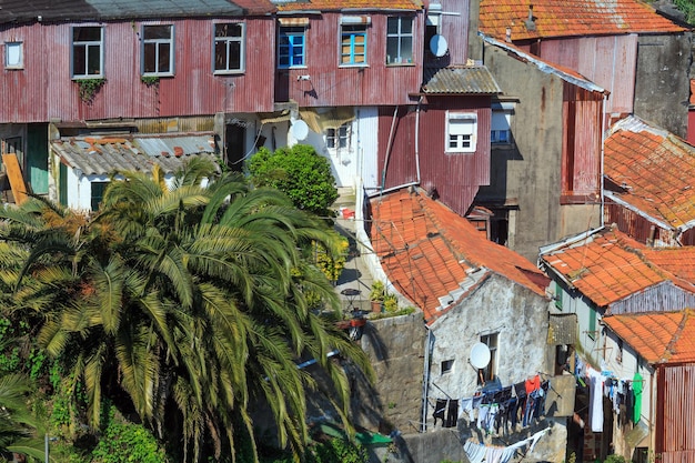 Vista superior da paisagem urbana da cidade do porto com casas antigas e palmeira (portugal). Foto Premium