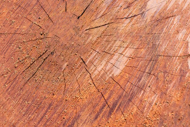 Vista superior da textura de madeira