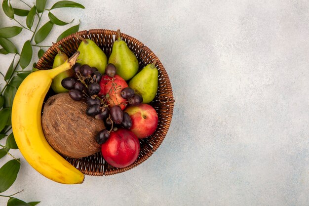 Vista superior das frutas como uma cesta cheia de pêra, pêssego, banana, coco, uva preta com folhas em fundo branco com espaço de cópia