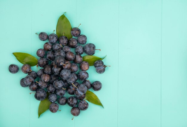 Vista superior das pequenas abrunhas de frutas azedas pretas com folhas em um fundo azul com espaço de cópia