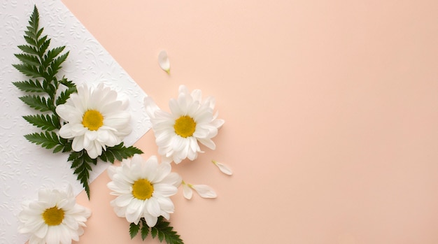 Vista superior das pétalas de flores na folha de papel