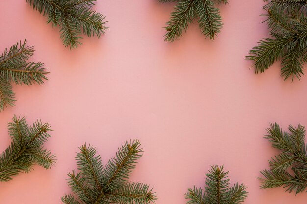 Vista superior de agulhas de pinheiro naturais minimalistas