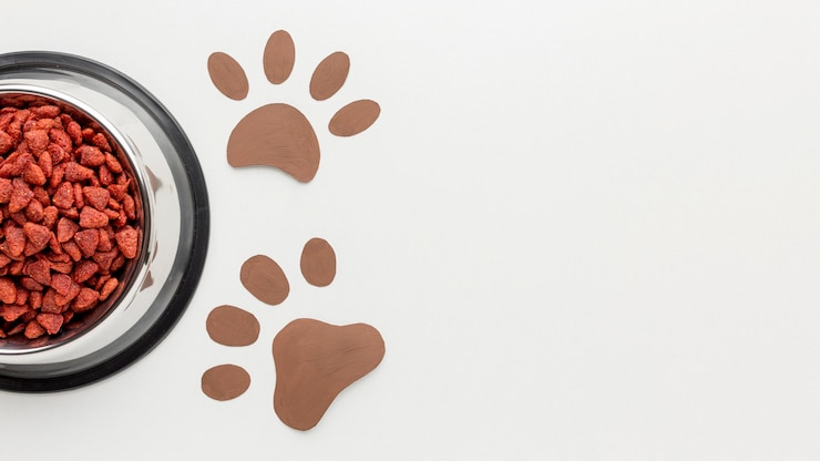Foto grátis vista superior de alimentos de origem animal com impressão de pata para o dia animal