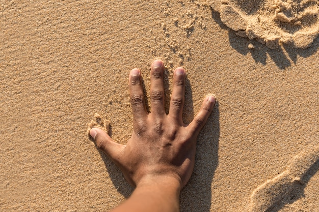 Vista superior, de, colheita, mão areia