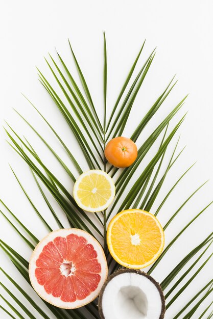 Vista superior de deliciosas frutas e folhas