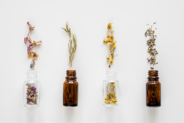 Vista superior de ervas medicinais naturais em frascos