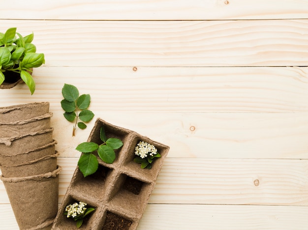 Foto grátis vista superior de ferramentas e plantas de jardinagem