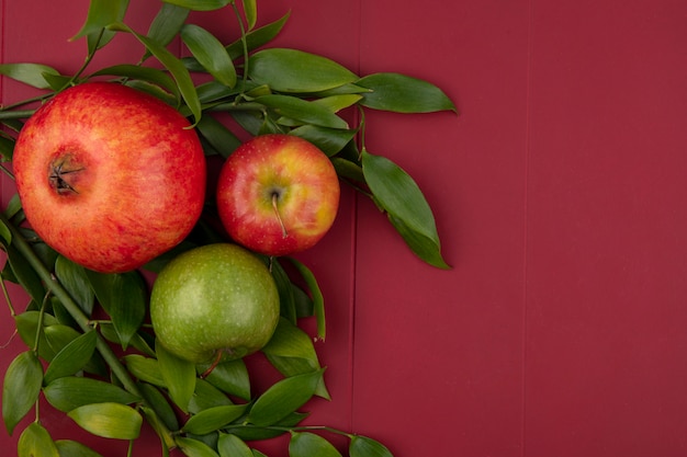 Vista superior de frutas como romã e maçãs com folhas na superfície vermelha