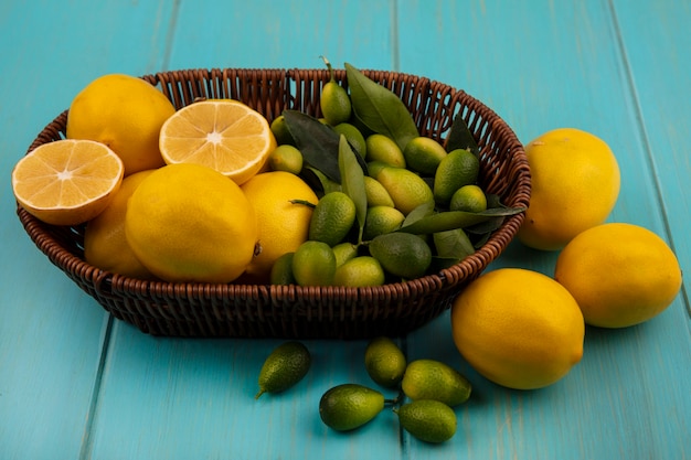 Vista superior de frutas ricas em vitaminas, como limões e kinkans em um balde com limões isolados em uma parede de madeira azul