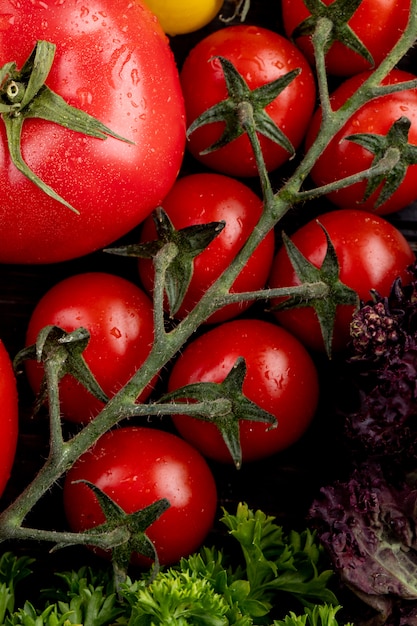 Vista superior de legumes como coentro e tomate manjericão