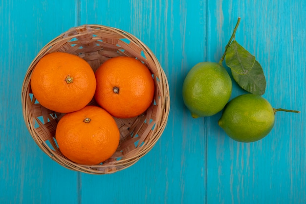 Foto grátis vista superior de limas com laranjas em uma cesta em um fundo turquesa