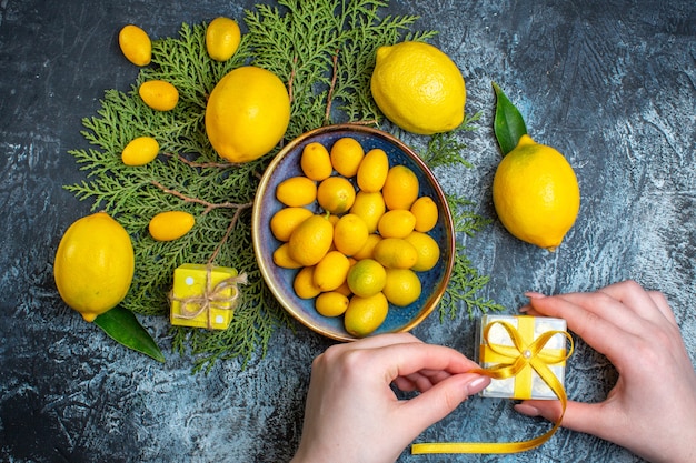 Foto grátis vista superior de limões frescos com folhas de um prato com kumquats na mão de ramos de abeto abrindo uma caixa de presente em fundo escuro