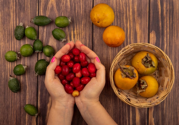 Foto grátis vista superior de mãos femininas segurando cerejas frescas da cornalina com frutas frescas de caqui em um balde com feijoas isoladas em uma parede de madeira