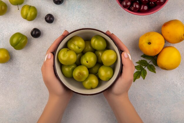 Vista superior de mãos femininas segurando uma tigela com ameixas verdes cereja com pêssegos doces com abrunhos em um fundo branco