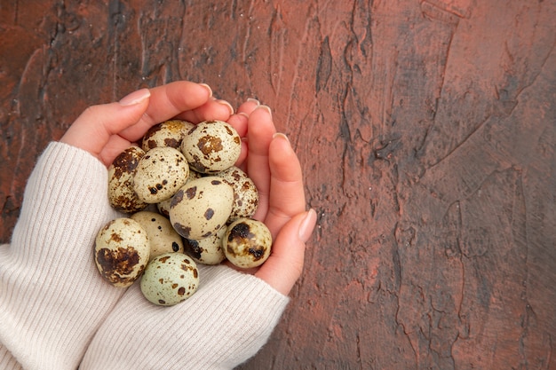 Vista superior de ovos de codorna em mãos femininas na mesa escura