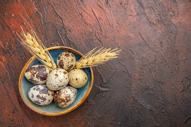 Vista superior de ovos frescos de granjas de aves orgânicas dentro e fora da placa azul no lado direito em um fundo marrom