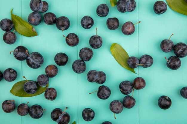 Vista superior de pequenas abrunhas preto-azuladas com folhas isoladas em um fundo azul