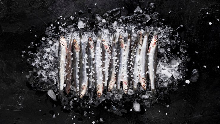 Foto grátis vista superior de pequenos peixes em cima de cubos de gelo