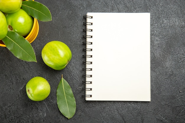 Vista superior de perto balde de tomates verdes e folhas de louro, um caderno e tomates na mesa escura