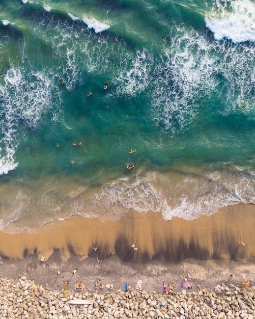 Vista superior de pessoas nadando e sentadas na praia de varkala