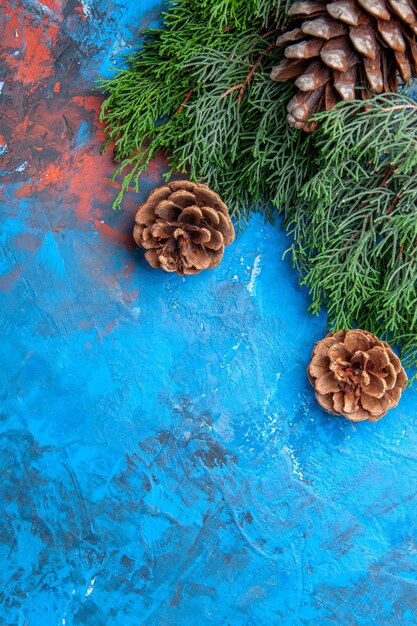 Vista superior de pinecones de galhos de pinheiro na superfície azul-vermelha