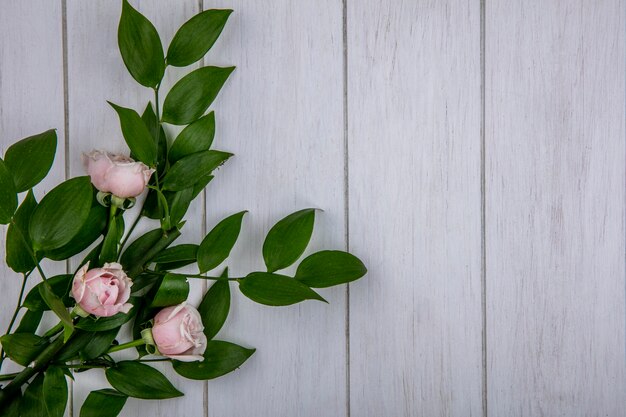 Vista superior de rosas rosa claras com folhas em uma superfície cinza