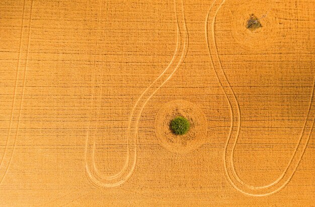 Vista superior de tirar o fôlego da área agrícola e campos cultivados em dia ensolaradoFotografia de drones