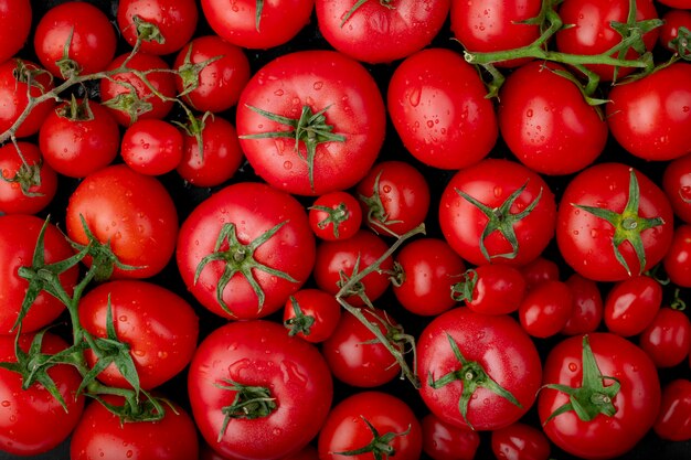 Vista superior de tomates frescos maduros com gotas de água no fundo preto