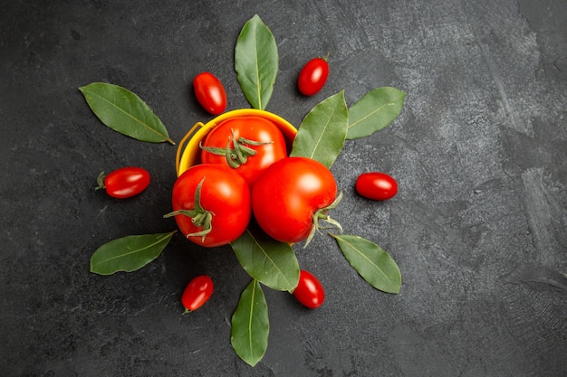 Vista superior de um balde com tomates e folhas de louro ao redor de tomates cereja e folhas de louro em solo escuro