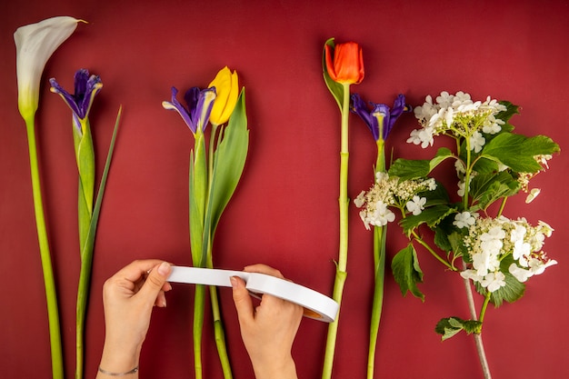 Vista superior de várias flores para o buquê como tulipas de cores vermelhas e amarelas, lírio de calla, flores de íris roxa escura e viburno florescendo na mesa vermelha