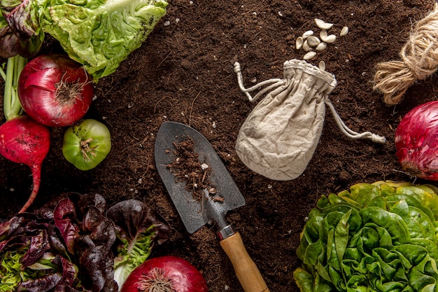 Vista superior de vegetais com salada e ferramenta