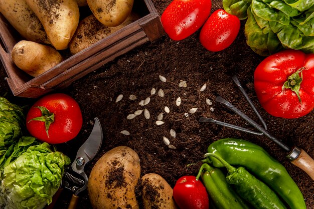 Vista superior de vegetais com sementes e salada